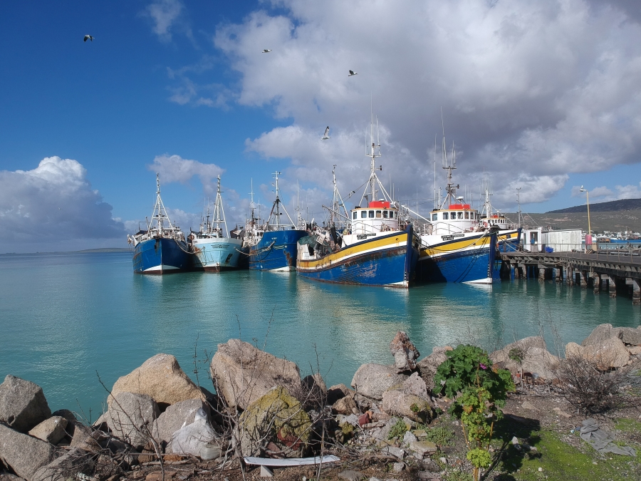 0 Bedroom Property for Sale in Steenbergs Cove Western Cape